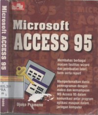 Microsoft access 95