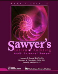 Audit internal sawyer
