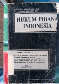 Hukum pidana Indonesia