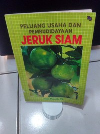 Peluang Usaha dan Pembudidayaan Jeruk Siam